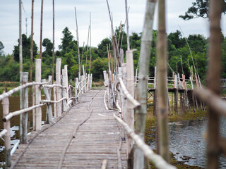 Broken bamboo bridge