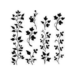 Lvy black silhouette set. Attractive lvy, leaf, flower, plant,  tree art and vector illustration