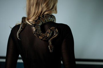 young blond woman with black dress and real snake python 