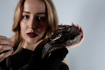 python snake plays with a young blond woman