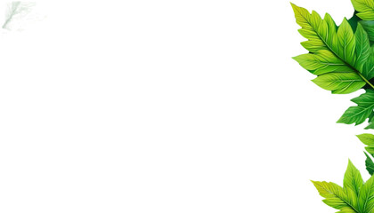 green leaves frame png, transparent background 