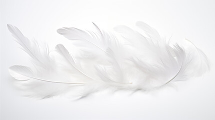 Floating Feather Formation on White
