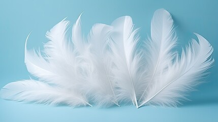 white fluffy feathers against a serene background in pale turquoise blue, creating a visually soothing composition.