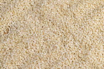 used in cooking sesame seeds