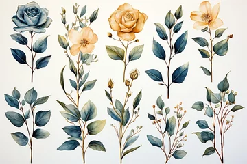 Foto op Aluminium Watercolor design elements blue beige flowers, leaves, eucalyptus, branches set for wedding stationary, invitation card © krishnendu