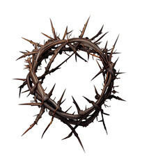 Close Up of a Crown of Thorns on the Transparent Background