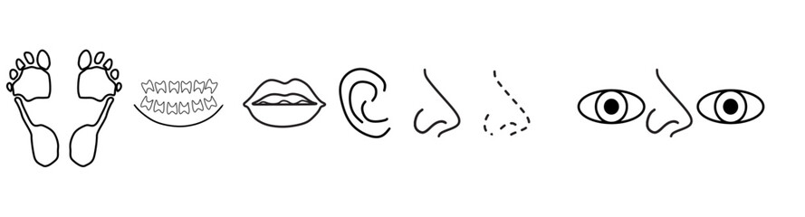 human senses editable stroke outline icons set isolated on white background flat vector illustration.
