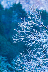 Frozen Val Raccolana