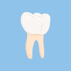 Tooth Vector, Teeth Vector, Dental School, Dental Illustration, Dentistry, Tooth Illustration, Root Canal, Tooth Root, Tooth Cavity, Cavity Illustration, Dental Cavity, Vector Illustration