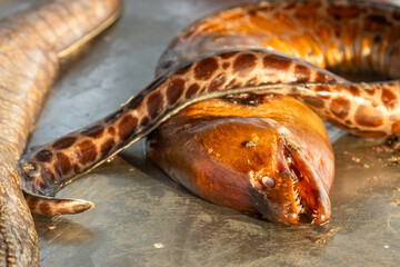 Obraz premium Just caught eels at a fish market