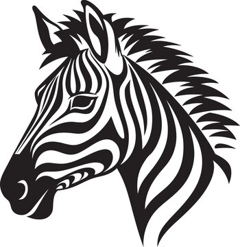 Dynamic Details Vector Zebra IllustrationGraphic Safari Zebra Vector Artwork