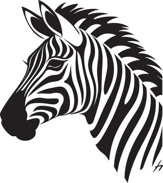 Dynamic Wildlife Zebra Vector SketchingGraphic Lines Zebra Vector Composition