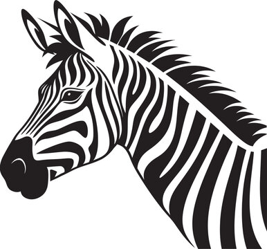 Artistic Essence Vector Zebra ShowcaseVectorized Monochrome Zebra Vector Sketch