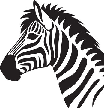 Vector Vibes Zebra Stripes in IllustrationMonochrome Magic Zebra Vector Edition