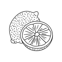 Lemon vector icon in doodle style. Symbol in simple design. Cartoon object hand drawn isolated on white background.