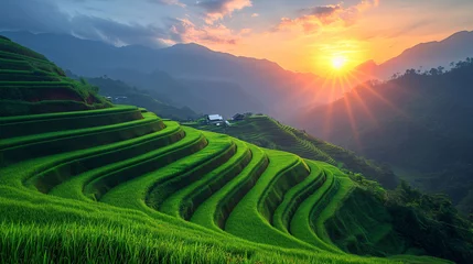 Foto auf Acrylglas Reisfelder Green rice terrace field at Pa Pong Piang village in Chiang Mai, Thailand