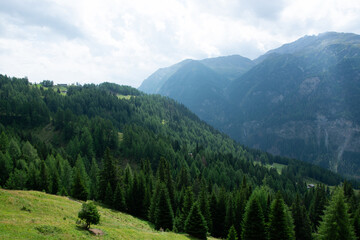 Alpine landscape in Austria  - 719555390
