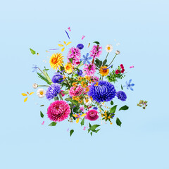 Colorful spring flowers on blue background. Spring is here concept with exploding flowers and...