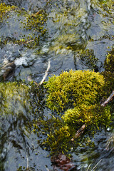 Fototapeta premium Green Moss and Swirling Water in Gjain Iceland