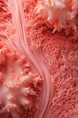 Coral abstract textured background
