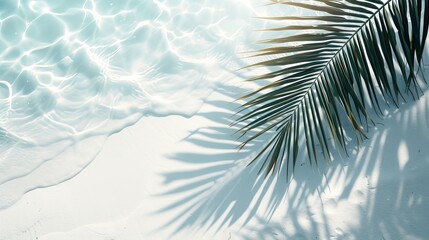 Fototapeta na wymiar palm leaf shadow on abstract white sand beach background