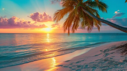 Fototapeta na wymiar Tropical paradise, white sand, beach, palm trees