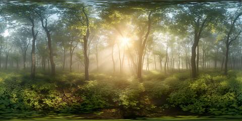 360 view of a forest with light rays