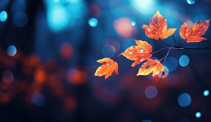 autumn season bokeh effect leaves