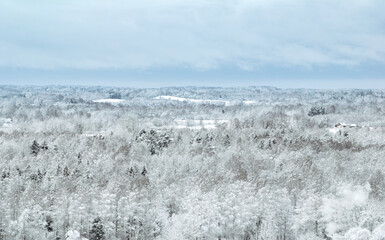 Winter landscape in the Latvian countryside (next to Lake Siver)