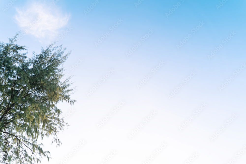 Canvas Prints blue sky with white cloud, easy on the eyes, relaxed at Patong Beach, Phuket, Thailand background.