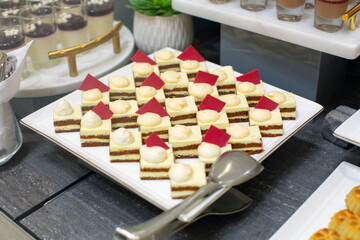 Piece of Cakes on a plate. Desserts, Tasty.