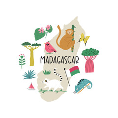 Colorful image, frame art with animals, landmarks, symbols of Madagascar island
