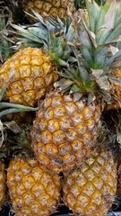 Anana. Whole pineapple fruit, vertical photography.