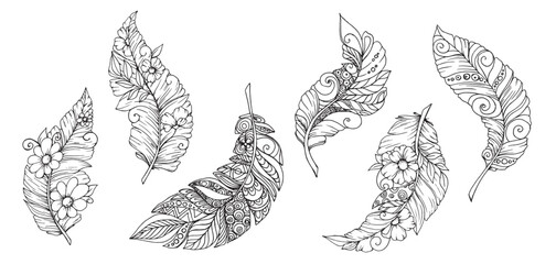 Painted decorative and romantic feathers. Bird. Ink. Clip art. Pattern for fabric. Levitation. Flight. Set of decorative feathers, doodle. Home textiles. Elements for decor.