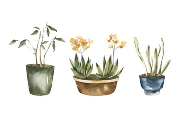 Watercolor Garden Plants in a Pot, Hand Painted potted Greenery, 3 House Plants, Flowers Illustration