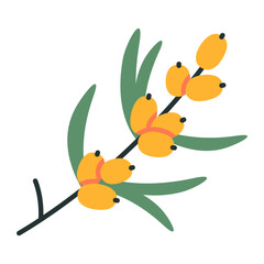 Sea buckthorn branch, cartoon style. Trendy modern vector illustration isolated on white background, hand drawn, flat design