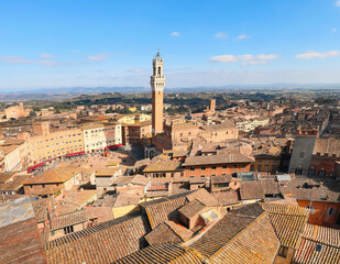 Fototapeta premium Siena in ITALY with the Tower called DEL MANGIA and the Palio square