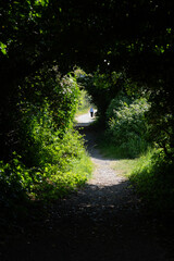 Unrecognized person walking in nature hiking trail. People trekking outdoors. Healthy lifestyle.