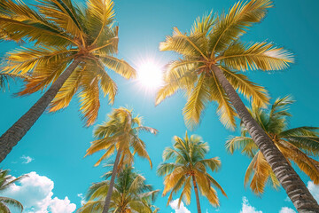 Tropical coconut palm trees with clear blue sky