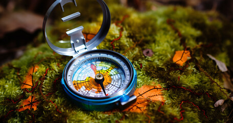 compass grass, travel concept, old compass, Compass laying, travel accessory, summer forest, lucky trip,