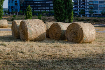 Hay bales in an urban landscape