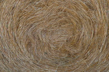 Hay Background, Straw Pattern, Thatch Texture