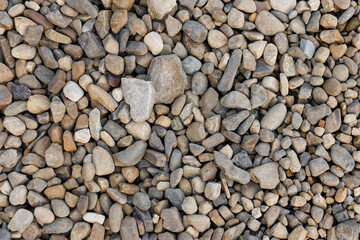 Varied Pebble Surface Texture. Place for your text