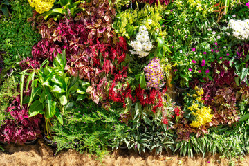 Living wall with multiple colorful flower