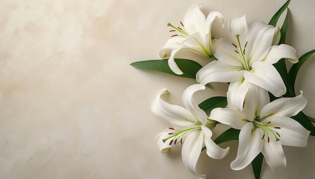 white lilies on a white background, top view of a bouquet in Japanese style