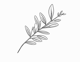 Beauty olive branch vector icon design