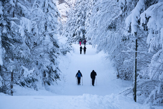 Hikers walking through a snow-covered path in Tamar Valley, Slovenia, during winter season.
