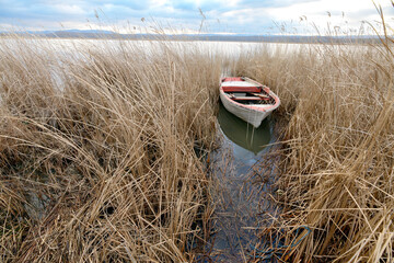 Wooden old white boat dinghy among the reeds in winter by the lake. Igneada national park, Mert...