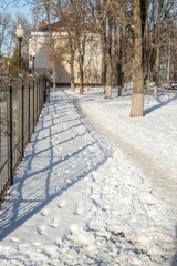 Sunny winter afternoon in city park