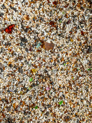 sea glass on rocky beach with corals